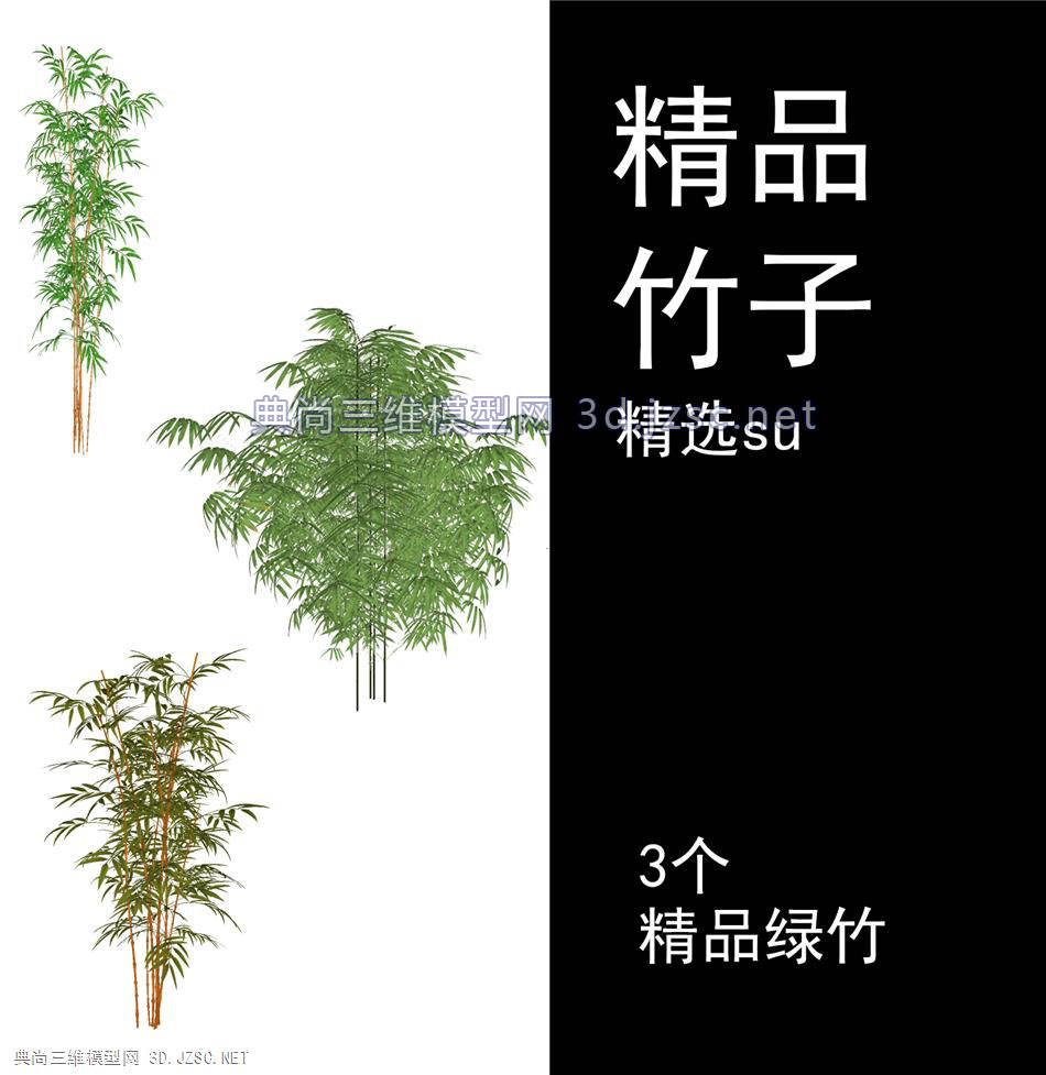 su精品植物（竹子）