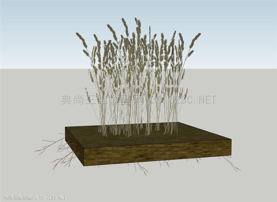植物模型--麦子稻子