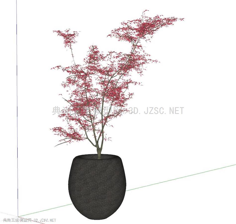 3D植物红枫