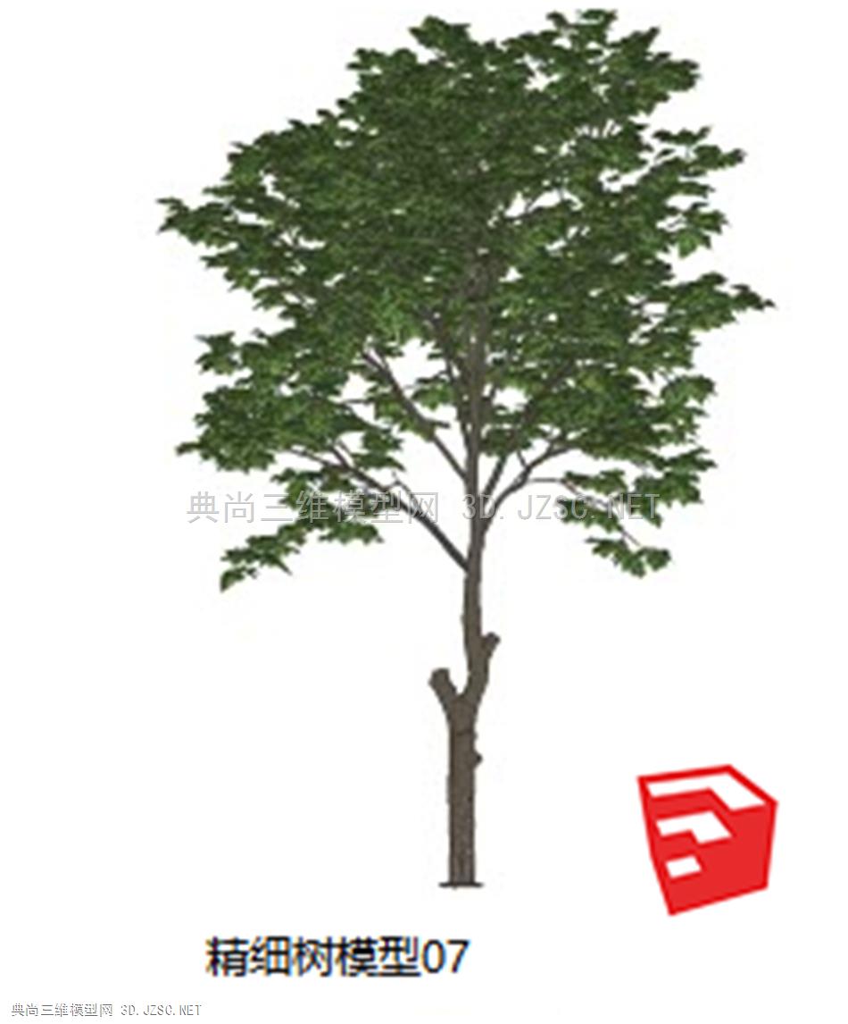 精细树模型07
