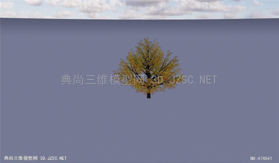 3D植物树24
