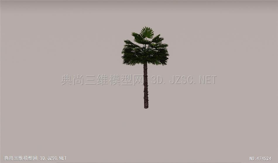 2D棕榈科植物010