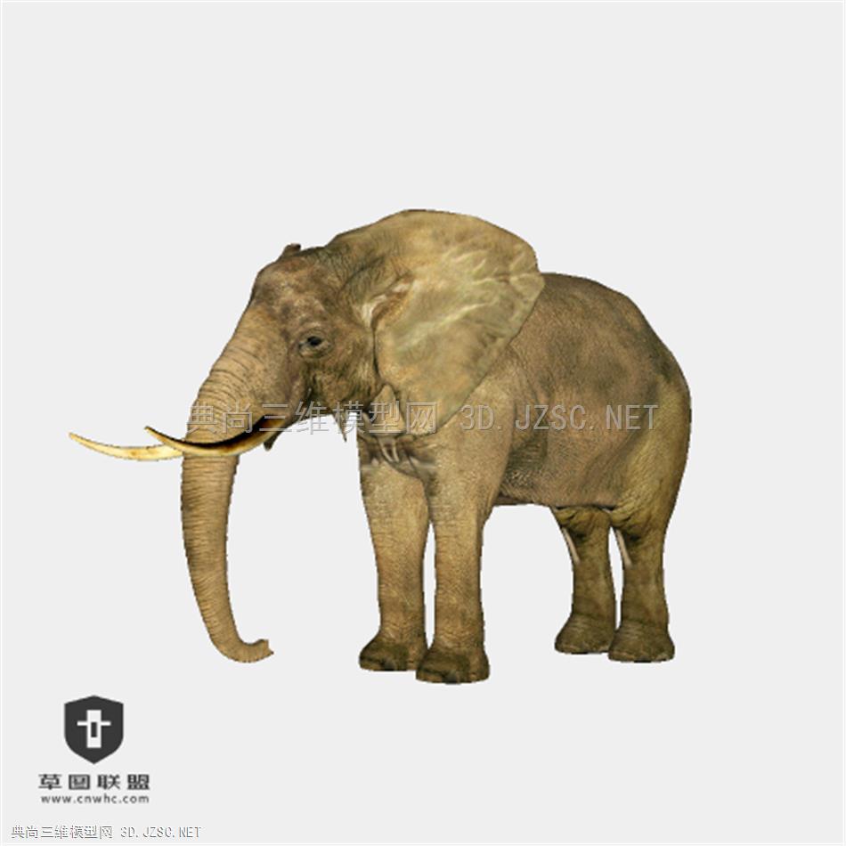 018_动物二 大象 