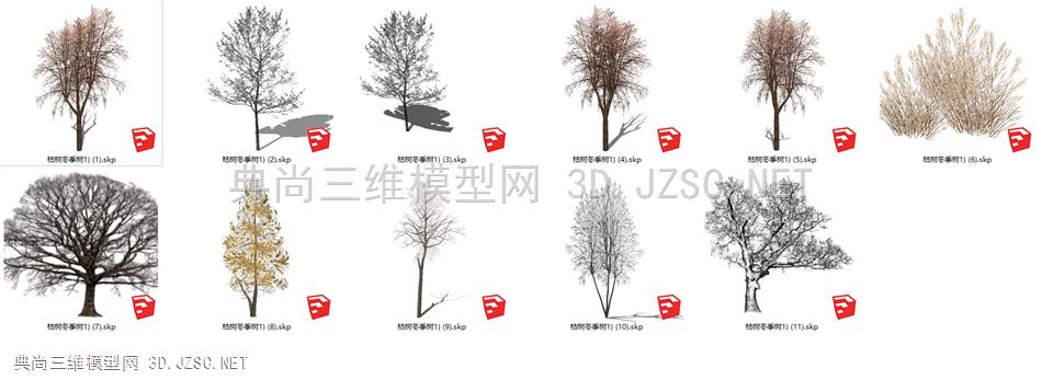 SU—乔木—冬景树