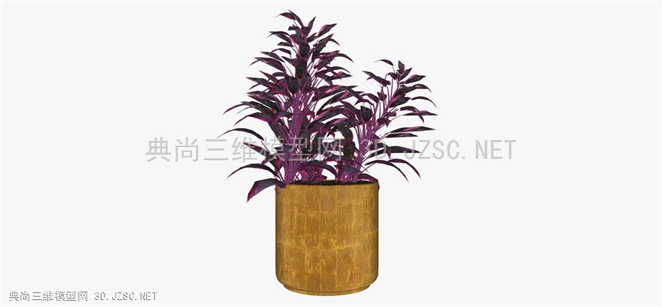 现代风格装饰植物盆栽 (50)