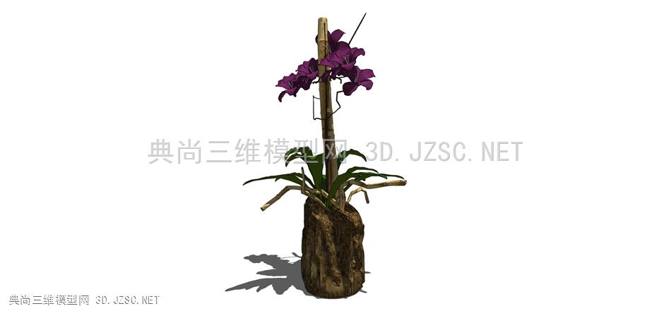 现代风格装饰植物盆栽 (151)
