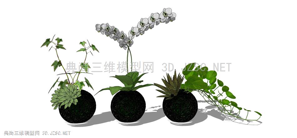 现代风格装饰植物摆件 (54)