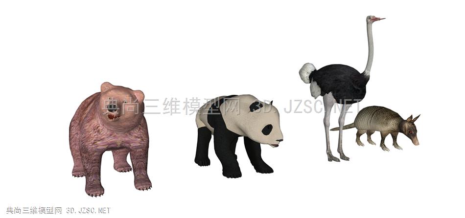动物 3 动物组合  动物园动物  熊猫  棕熊  鸵鸟  穿山甲