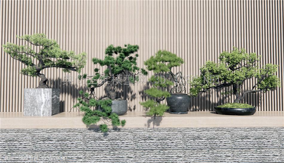 新中式松树盆栽 松树盆景 茶桌植物摆件 原创