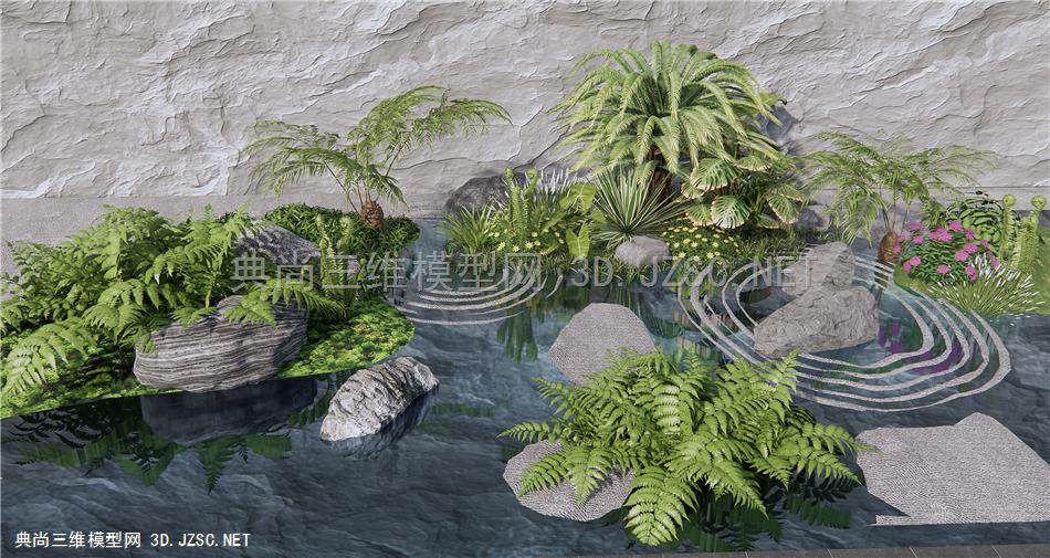 现代庭院植物小品 蕨类植物 肾蕨 苔藓 景观石头 植物水景