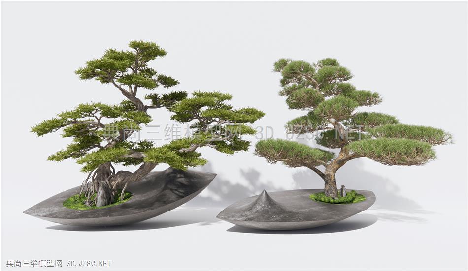新中式松树盆栽 盆景 罗汉松 迎客松 景观树