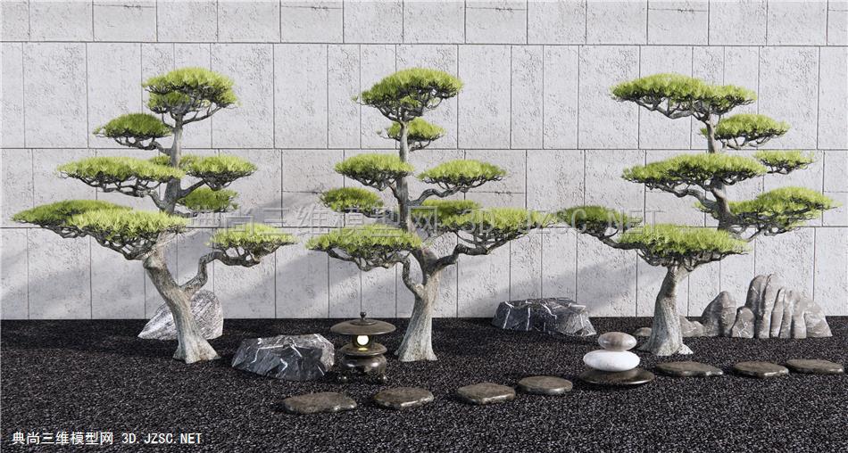 新中式造型松树 柏松 迎客松 景观石 枯山石庭院小品