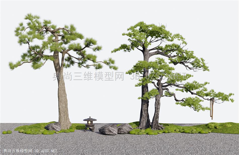 新中式松树 石头景观造景  苔藓