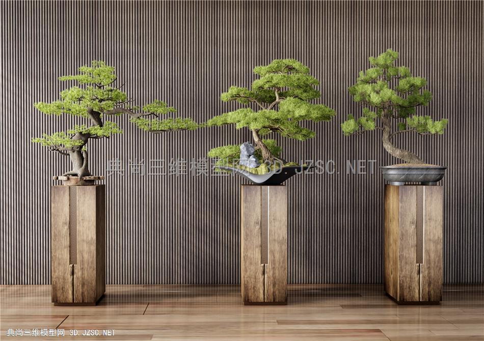 新中式松树盆栽 盆景1